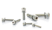 High Performance S.S. Screws